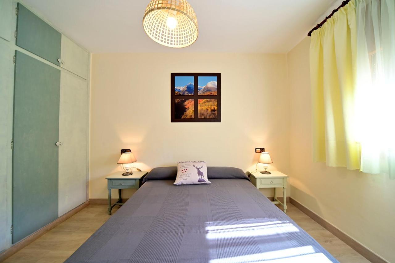 Apartament Casa Guineu Esterri d'Àneu Zewnętrze zdjęcie